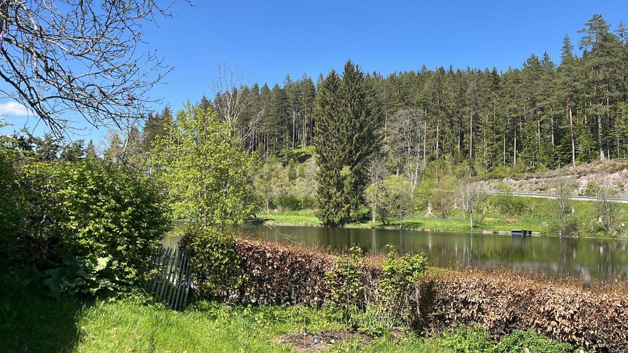 Haus Am See - Natur Pur Friedenweiler Buitenkant foto