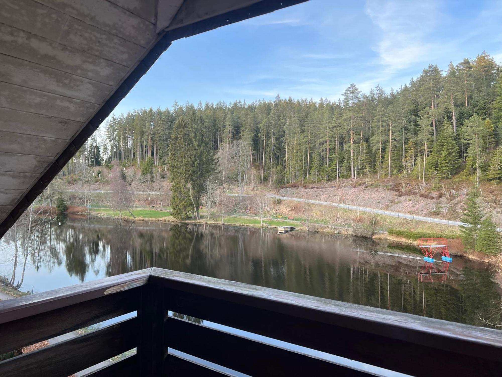 Haus Am See - Natur Pur Friedenweiler Buitenkant foto