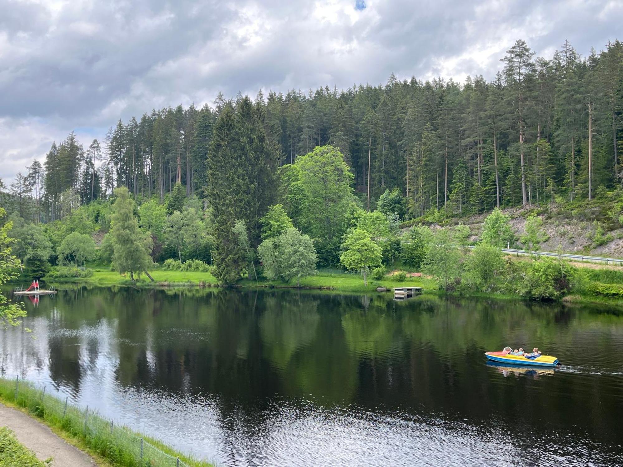 Haus Am See - Natur Pur Friedenweiler Buitenkant foto