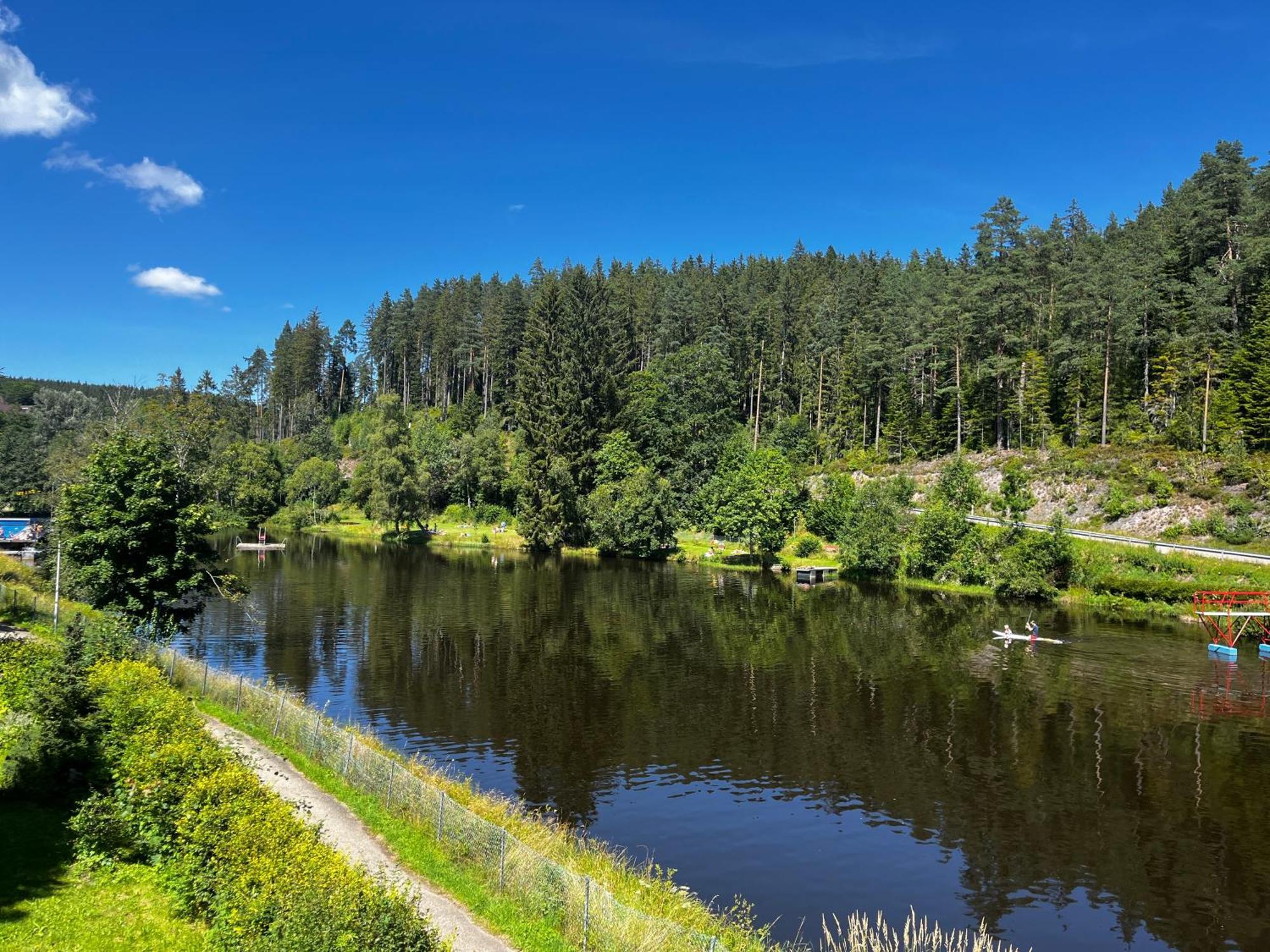 Haus Am See - Natur Pur Friedenweiler Buitenkant foto