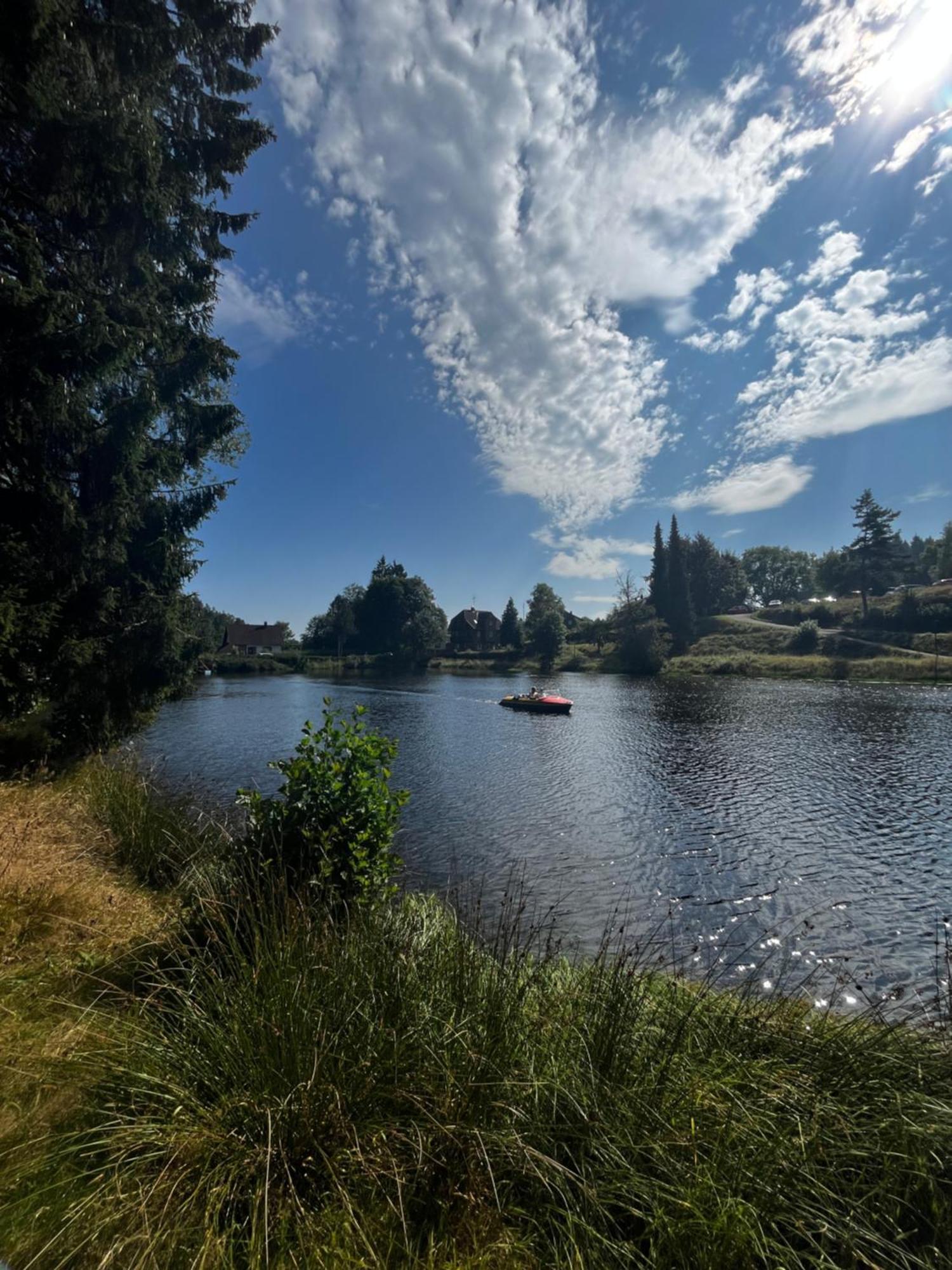 Haus Am See - Natur Pur Friedenweiler Buitenkant foto