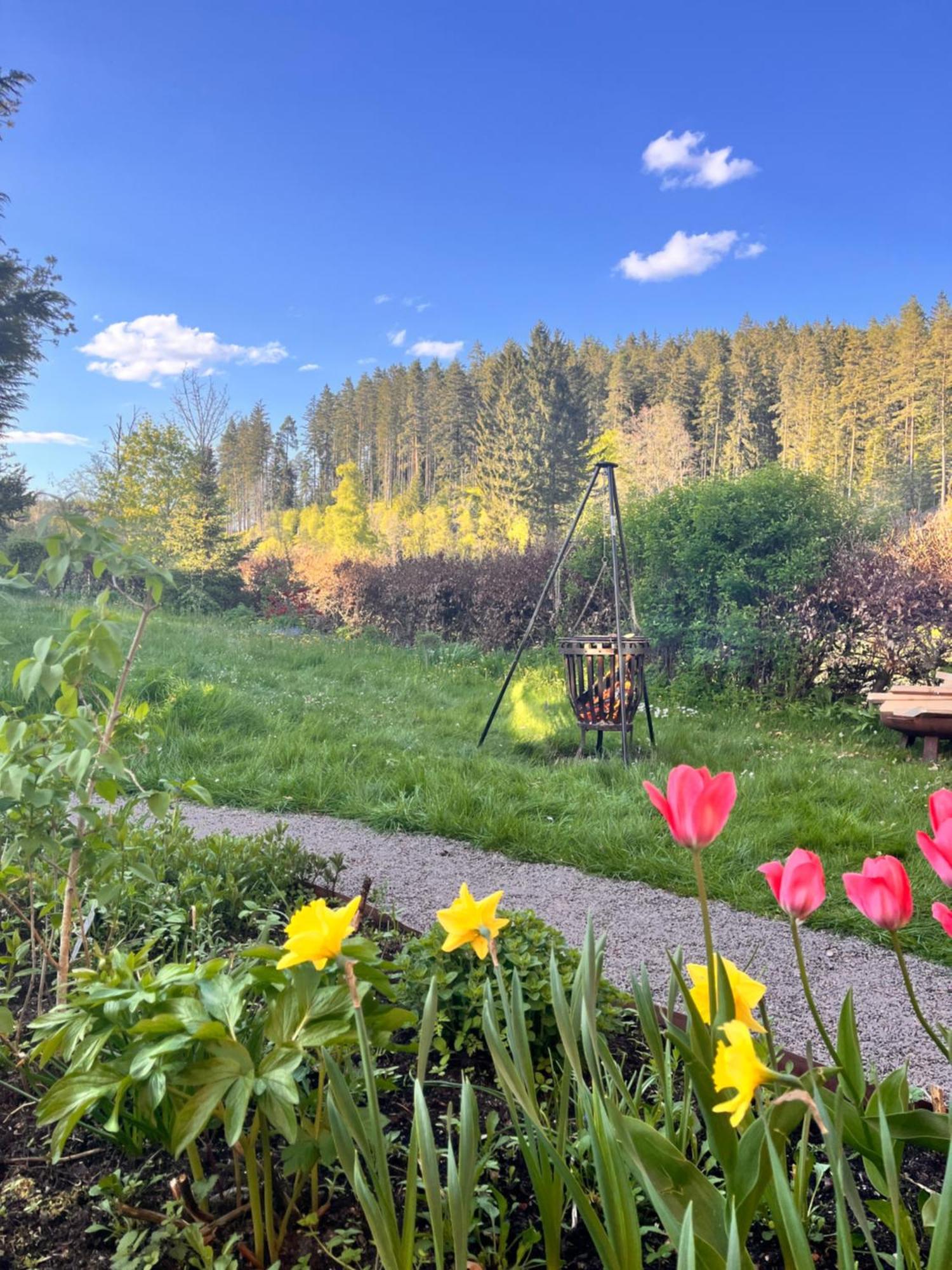 Haus Am See - Natur Pur Friedenweiler Buitenkant foto