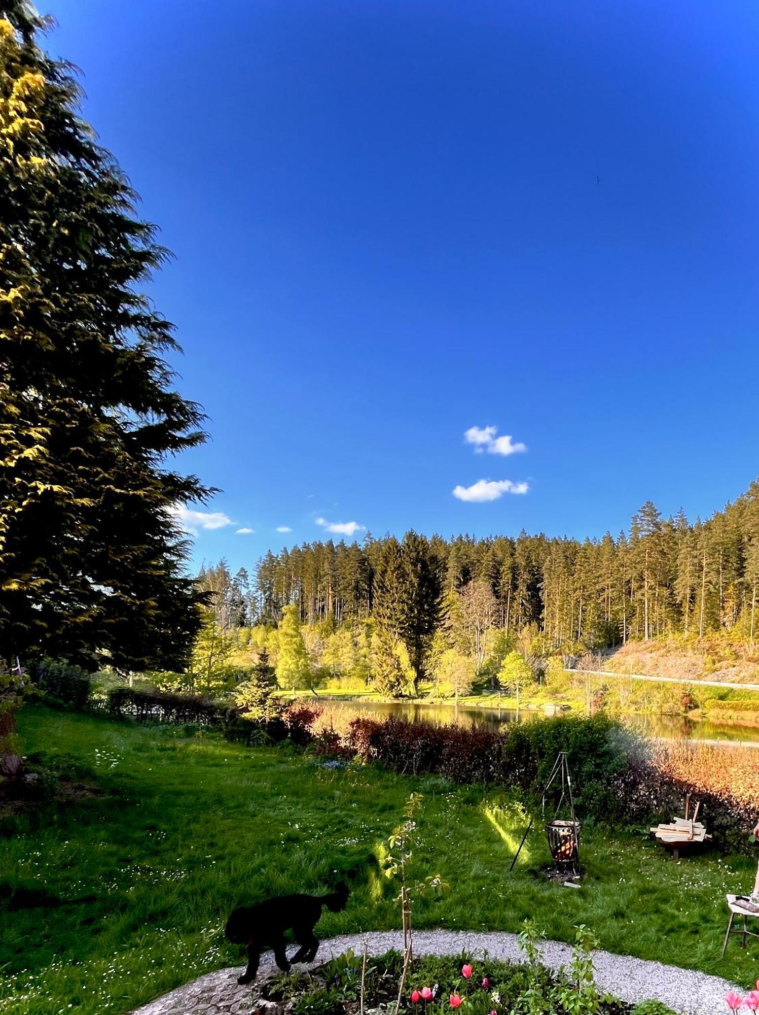 Haus Am See - Natur Pur Friedenweiler Buitenkant foto